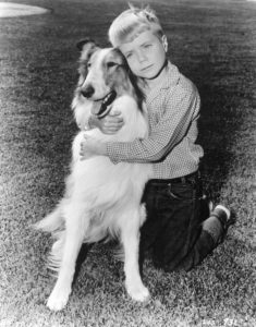 Timmy-hugs-Lassie