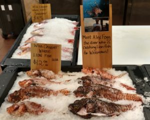 Wegmans-Lionfish-Display