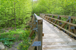 shenandoah-national-park2