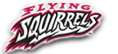 flying squirrels logo