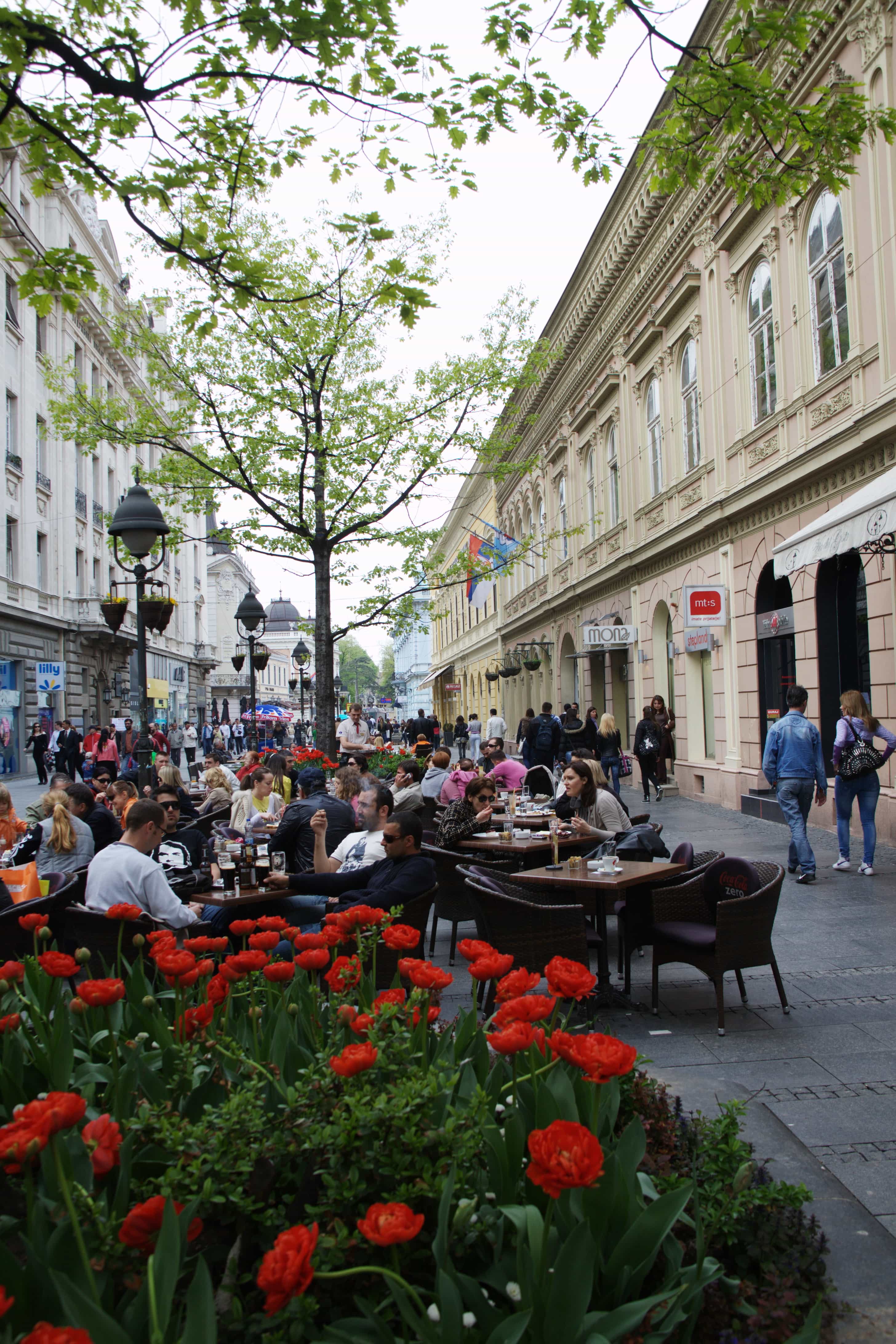 Knez Mihailova dining in Belgrade, Serbia