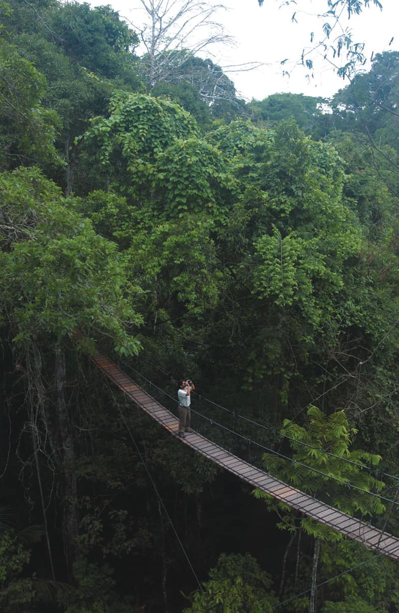 Amazon Brazil Peru