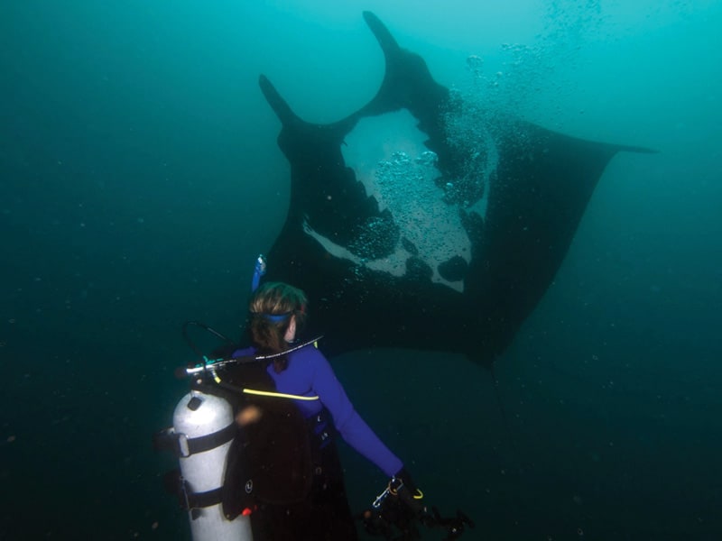 Volunteering in Ecuador with Ray of Hope Expeditions and Marine Megafauna Foundation | Photograph by Ralph Wolf