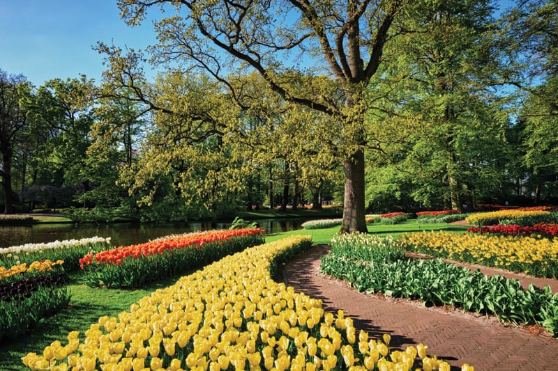 Keukenhof Gardens