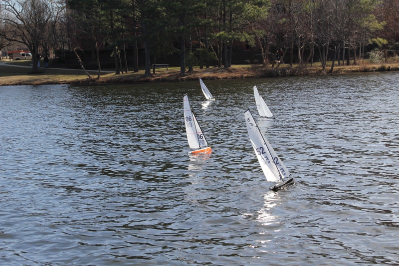 The boats on Lake Rooty