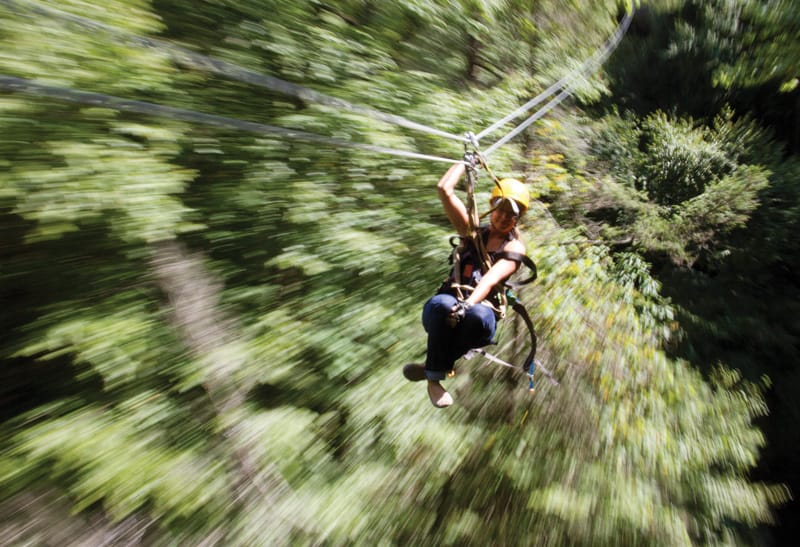 TreeTops Canopy Tour