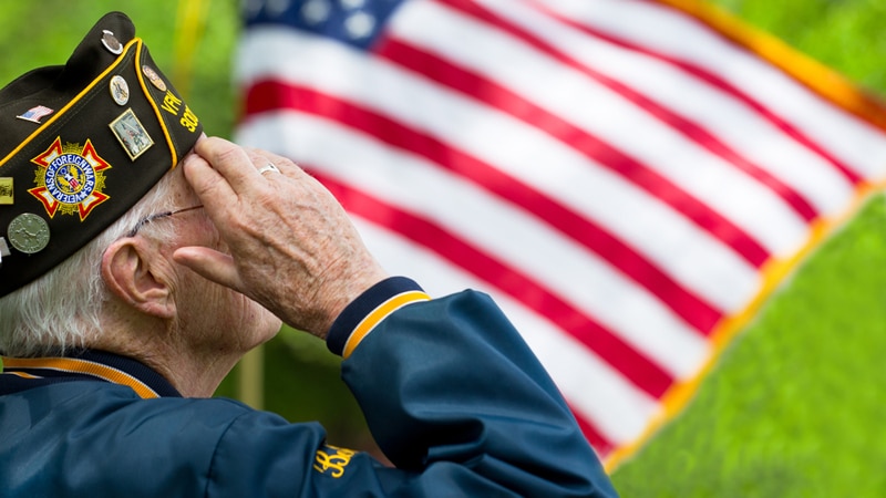 Veterans Day honors: a veteran saluting the American flag