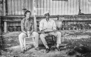 Piedmont Blues Image