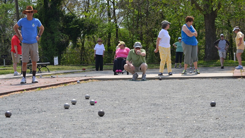 Toad La Fanny Indoor Petanque Games