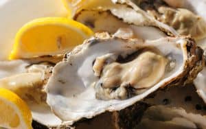 Oysters Events Image