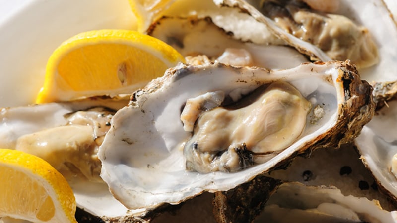 Oysters Events