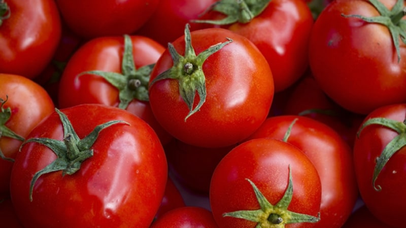 Tomatoes, used for Hanover Tomatoes - What's Booming (and Stroll Down Memory Lane)