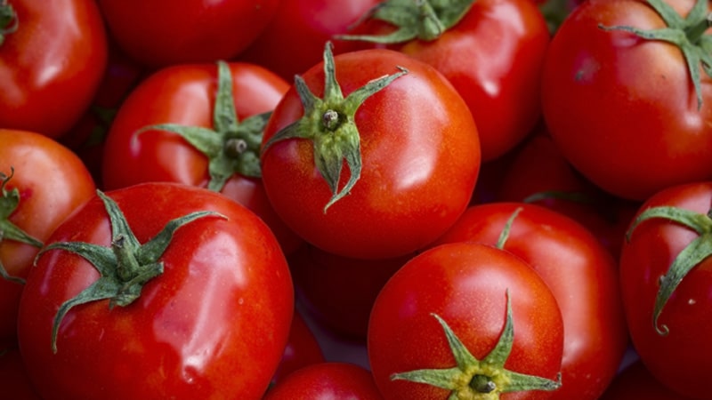 Tomatoes, used for Hanover Tomatoes - What's Booming