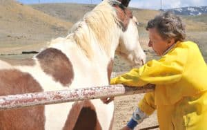 Lonely Rancher Quality Time in Marriage Image