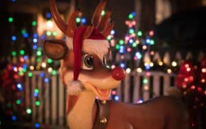 Rudolph Holiday Lights Image