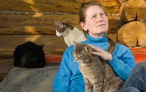 Crazy cat lady Image