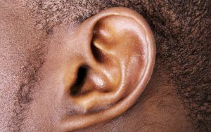 Hearing Health Foundation Ear Image