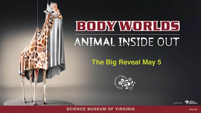 Animal Inside Out Image