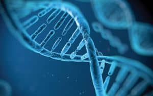 DNA Image