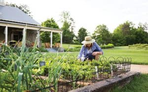Gardening Image
