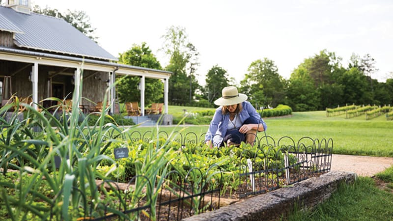 Gardening