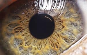 Eye health Image