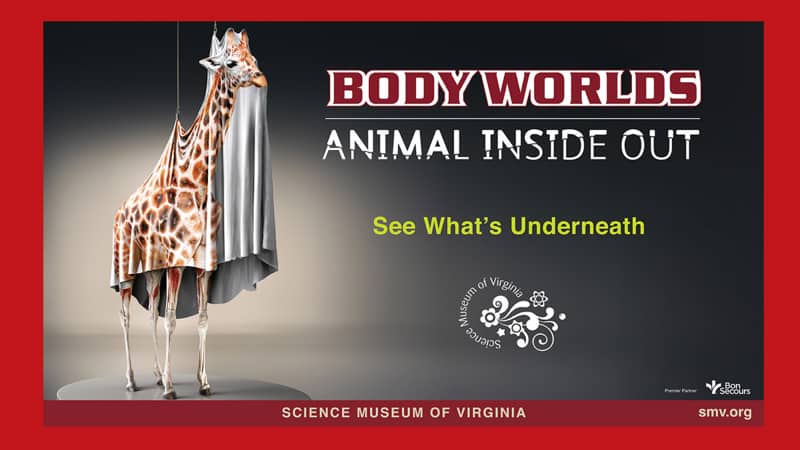 Science Museum of Virginia Image