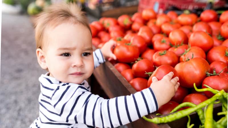 Hanover Tomato Festival