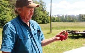 Chesterfield_Berry_Farm Image