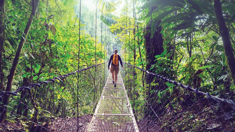 Hanging Bridges Trail at Mistico Park: For article on Pura Vida at Costa Rica