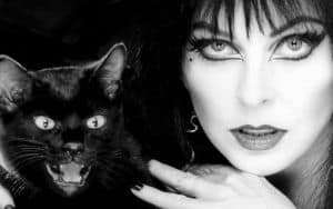 Elvira Image
