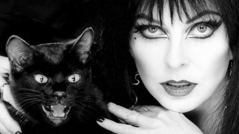 Elvira Image