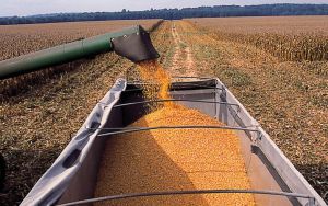 Tractor_Corn Image