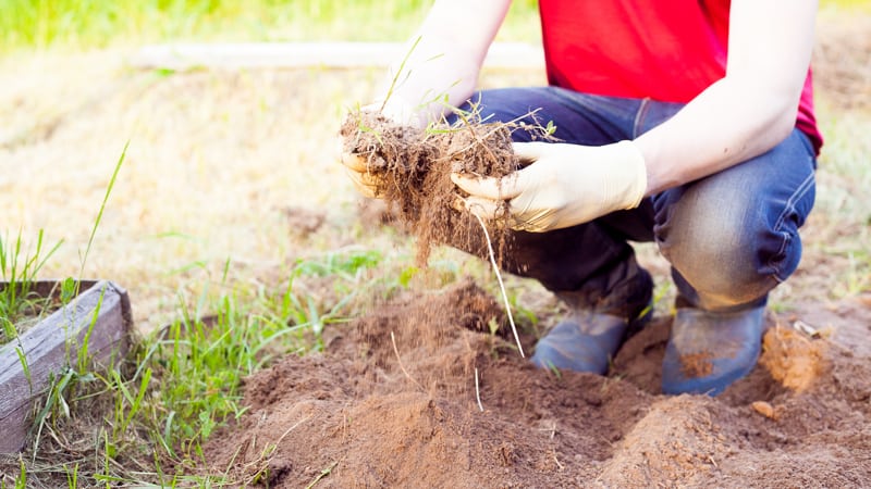 Urban_Farm Image