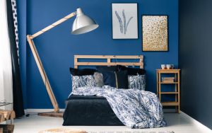 Blue_Wall Image