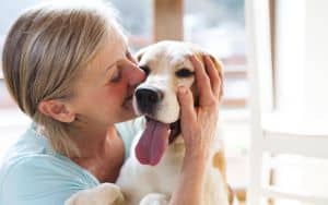 Pet ownership costs Image