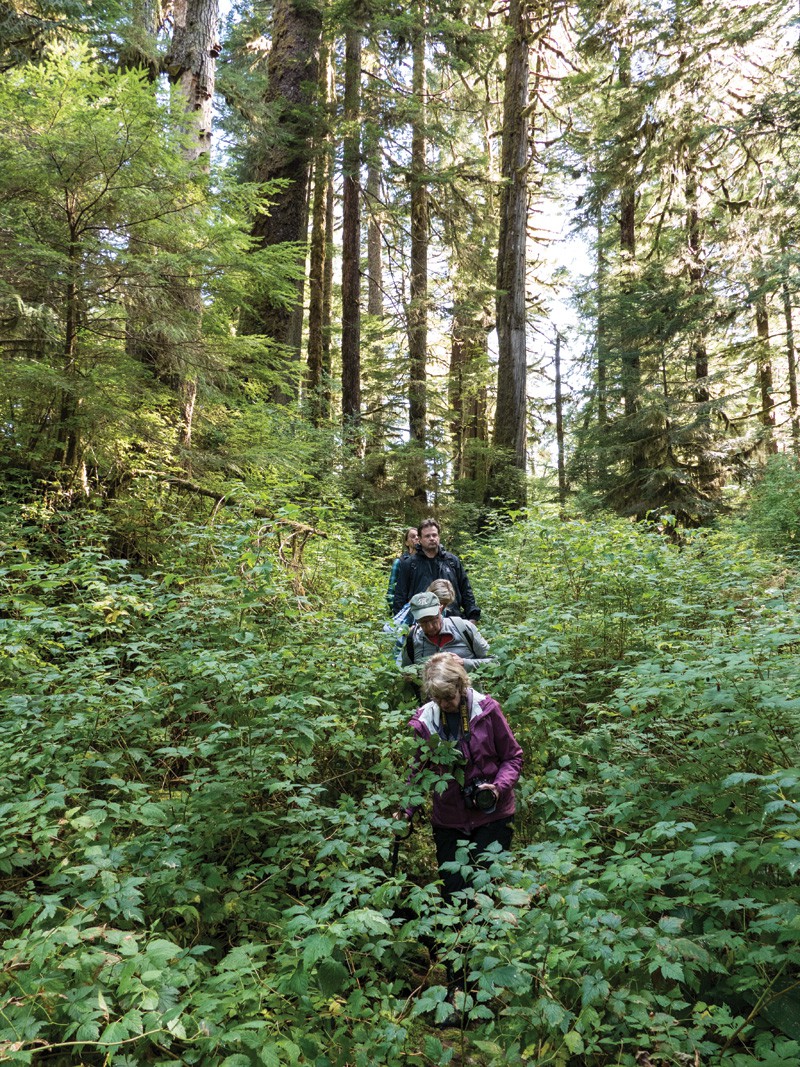 On a hike along bear trails into the forest