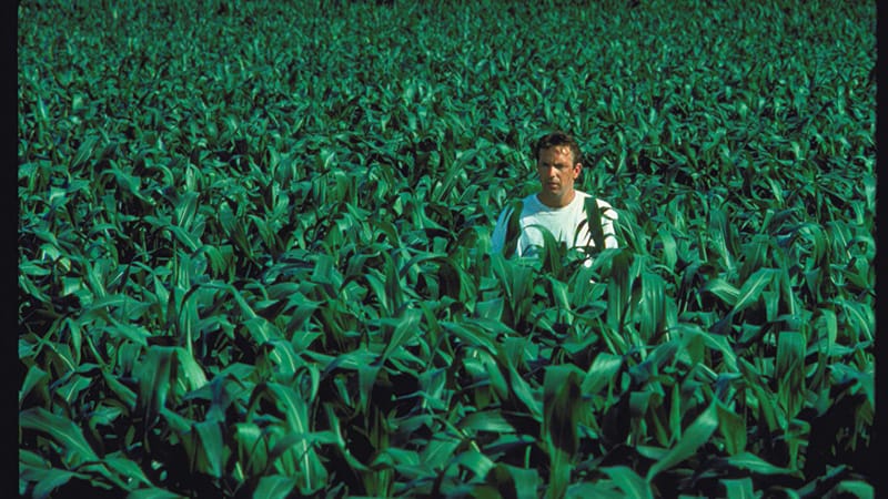 Field of Dreams