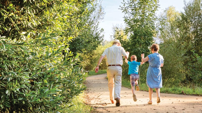 Grandparents rights custody