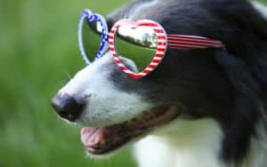 4th of July Richmond Image