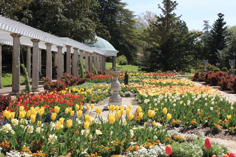 Maymont's Italian Garden