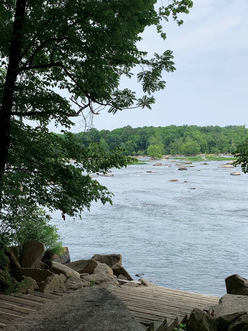 James River Park System Old Growth Forest Network