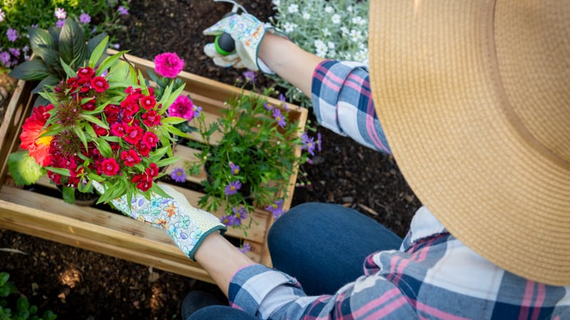 Lewis Ginter Fall PlantFest