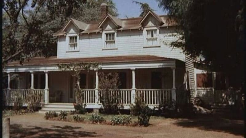 Waltons Bed and Breakfast