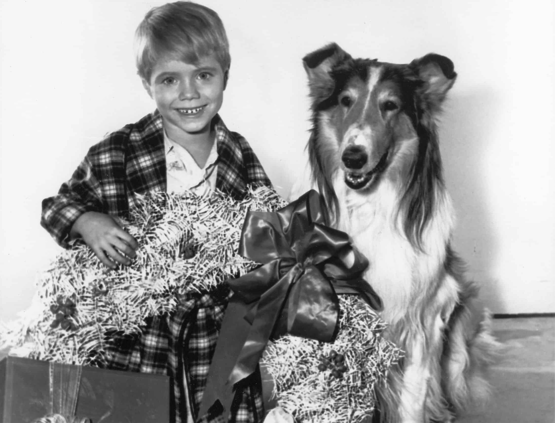 Jon Provost and Lassie pose for a Christmas episode