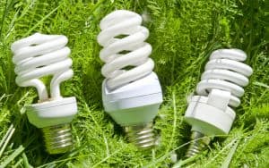 Energy efficient light bulbs on green grass show how environmentally friendly these bulbs are Image