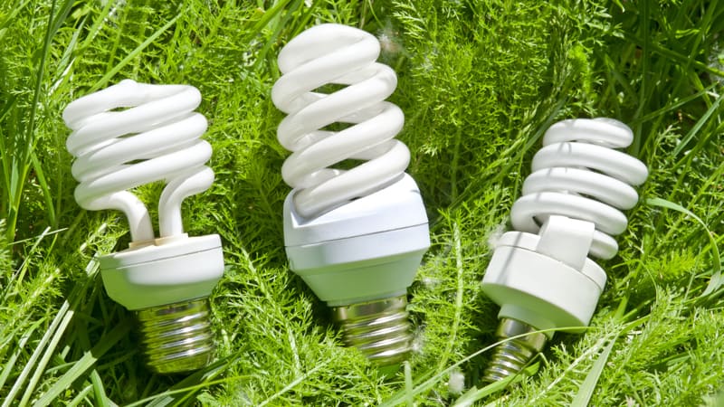 Energy efficient light bulbs on green grass show how environmentally friendly these bulbs are