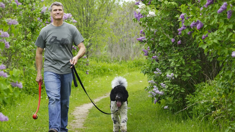 Handsome older man walking his dog among lush greenery