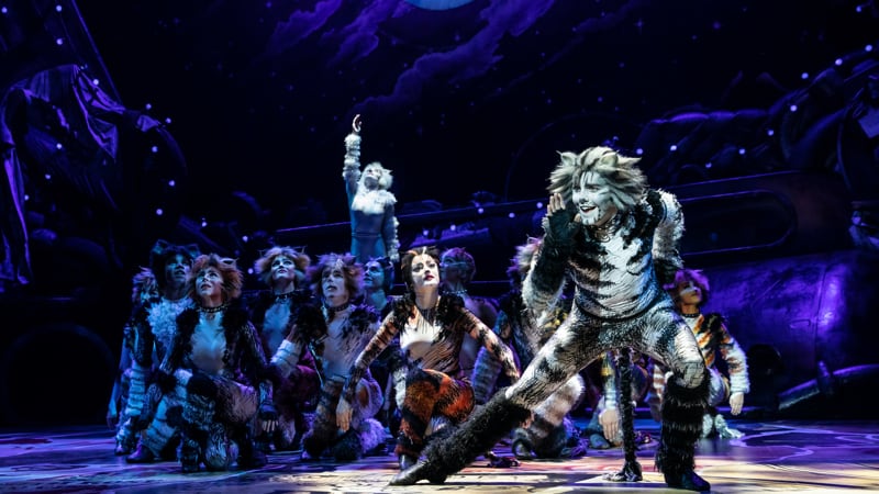 Cats Altria Theater