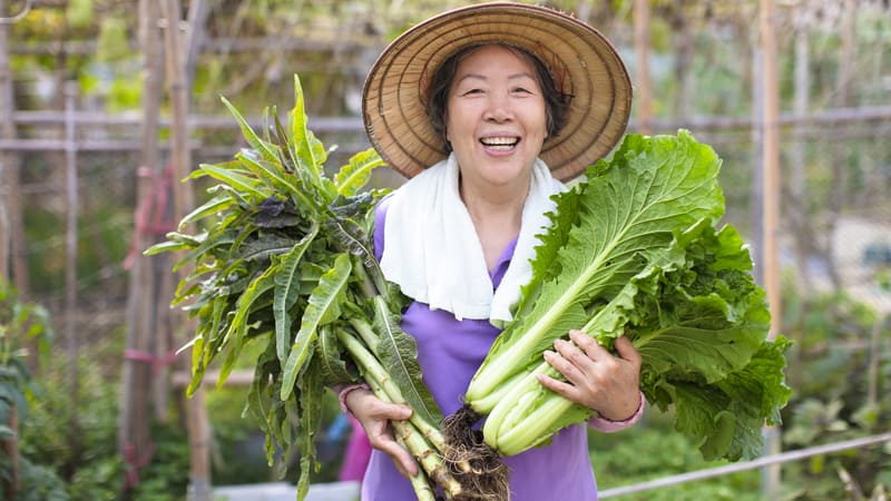 An Asian woman who is a farmer that just loves greens and vegetables